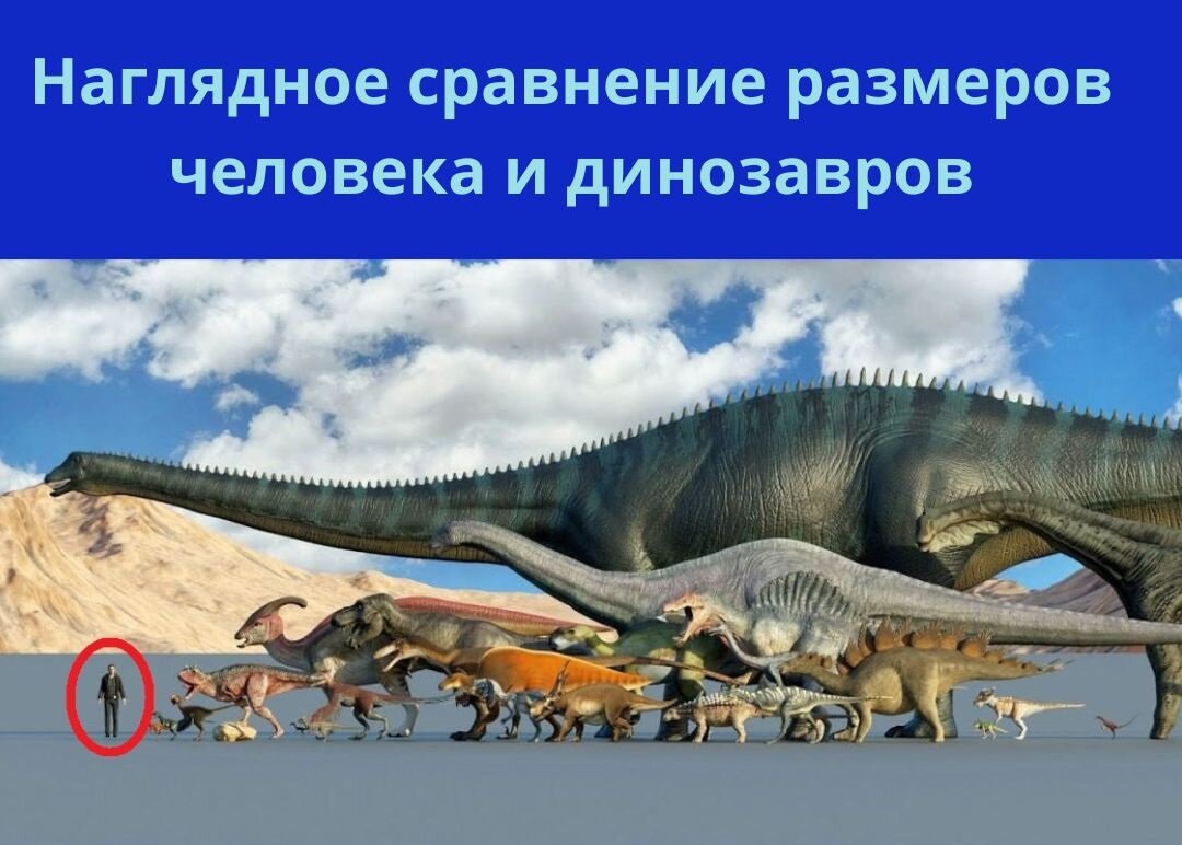 Как вы думаете, почему динозавры вырастали до таких гигантских размеров? И почему сейчас не появляется животных, сопоставимых с ними по размеру.