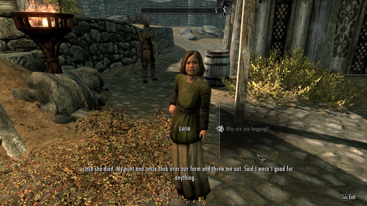 Потрясающий бизнес-план, жаль только, что не учитывает ассасинов Тёмного Братства.