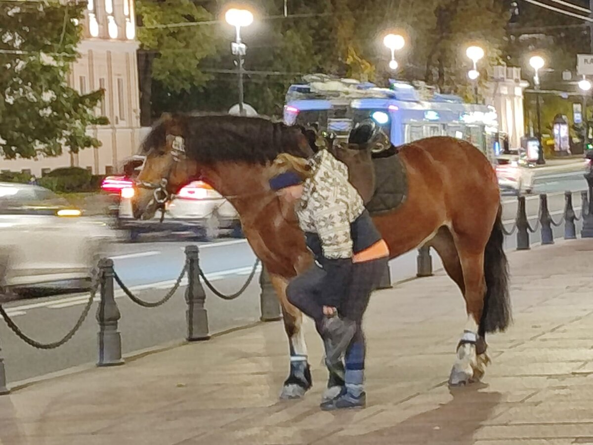 Невский проспект г. Санкт-Петербург