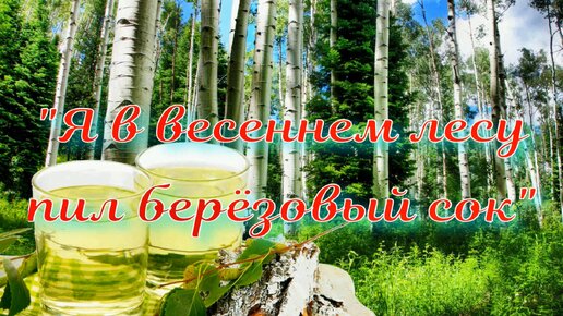 Я березовый сок пил в весеннем лесу. Я В весеннем лесу пил березовый спрайт Пелевин. Я В весеннем саду пил березовый сок текст. Я В весеннем лесу пил березовый сок текст.