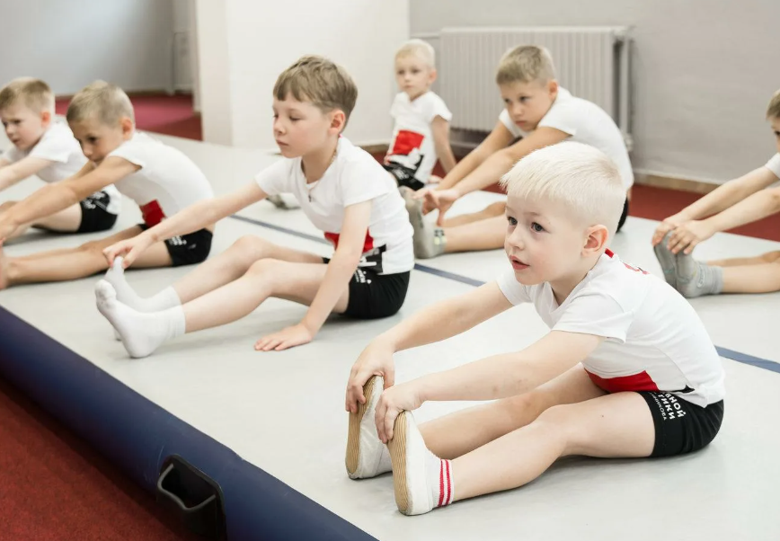 Физкультура в школах москвы. Спортивные кружки и секции для детей. Спортивная гимнастика дети. Спортивные секции для мальчиков. Секция гимнастики для детей.