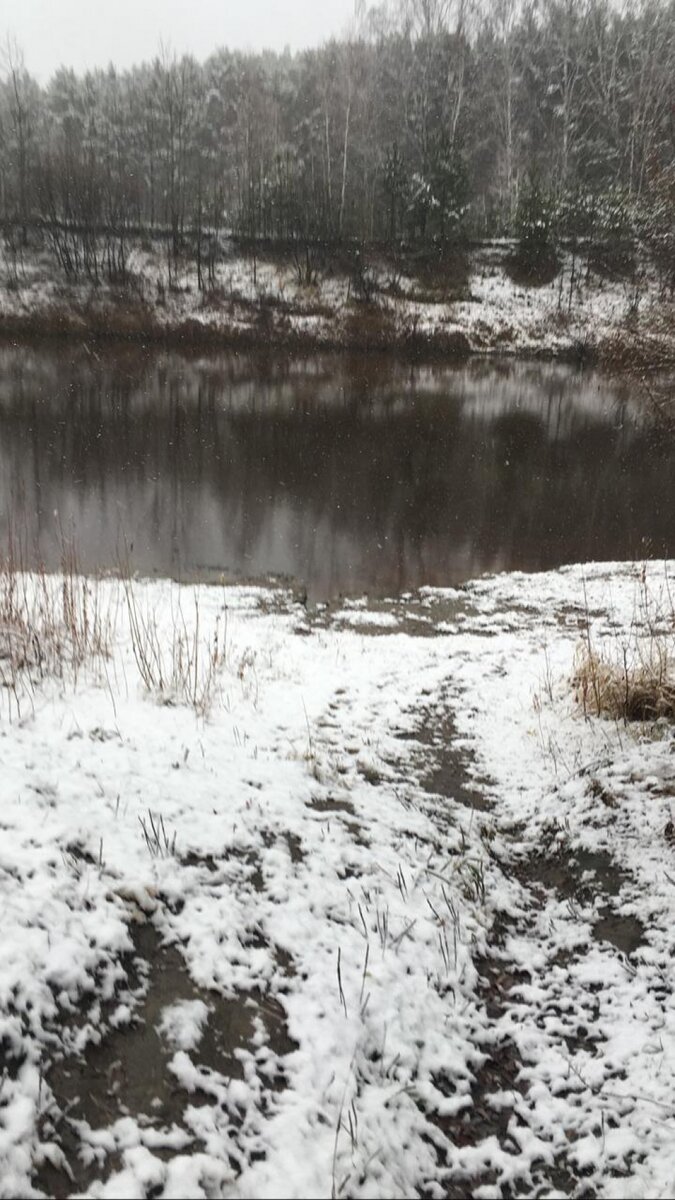    Река Тара в Муромцево 21 октября 2023 года. Фото: личный архив/ Елена Иванова