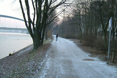    Гололедица ©shankar s. Flickr.com