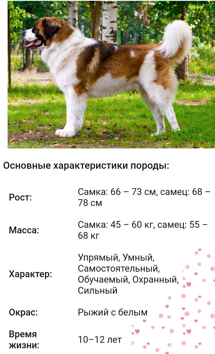 Скриншот в обработке автора. 