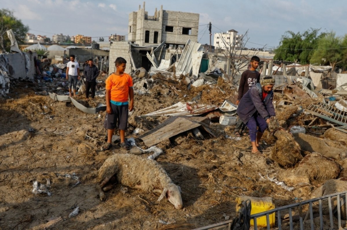    Арабист Супонина объяснила, что мешает выселить палестинцев из сектора Газа