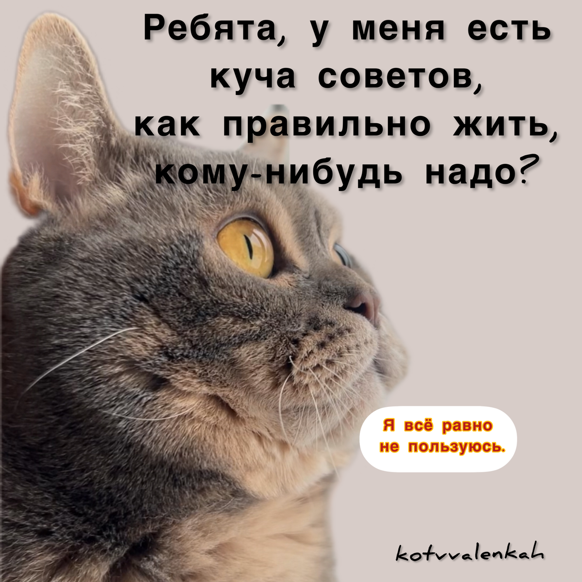 https://avatars.dzeninfra.ru/get-zen_doc/271828/pub_65335f0e624caf0c63bd4bbb_653367a5837888561152afb4/scale_1200