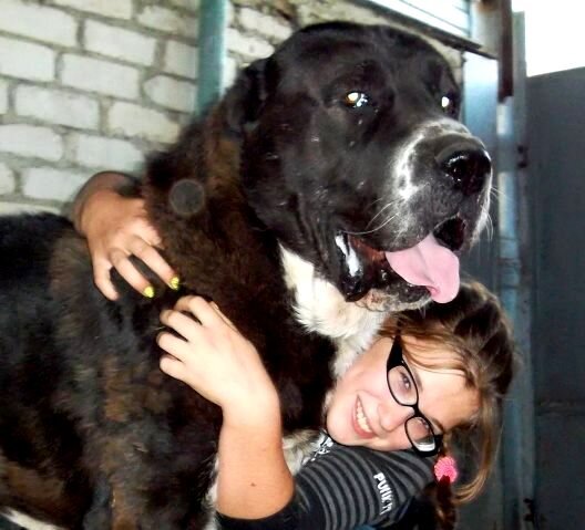 Алдаяр Алабай Батыр