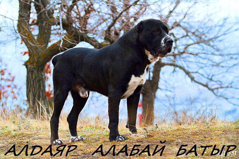 Фото из личных архивов.