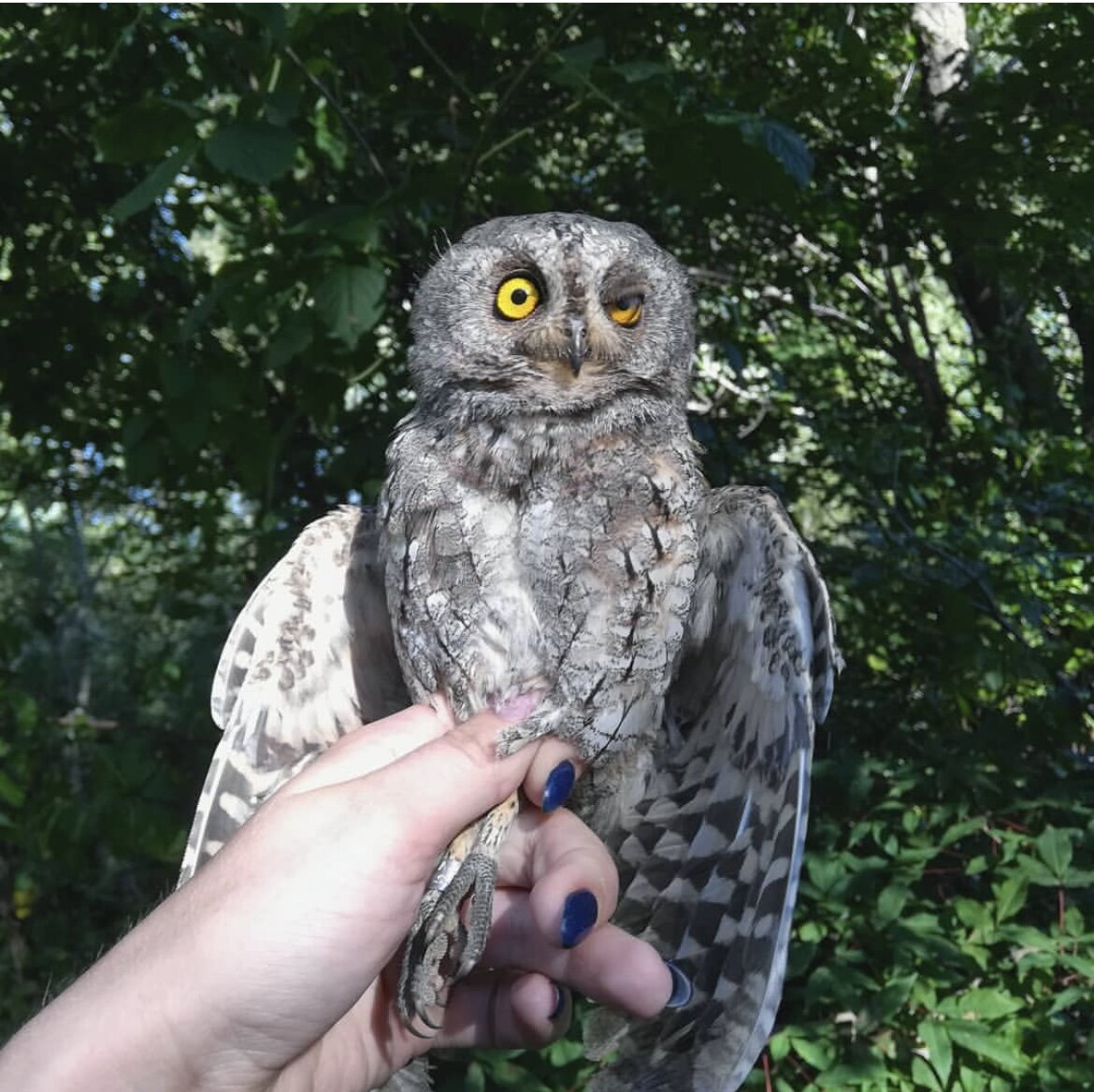 Извините, дорогу до Хогвартса не подскажете?