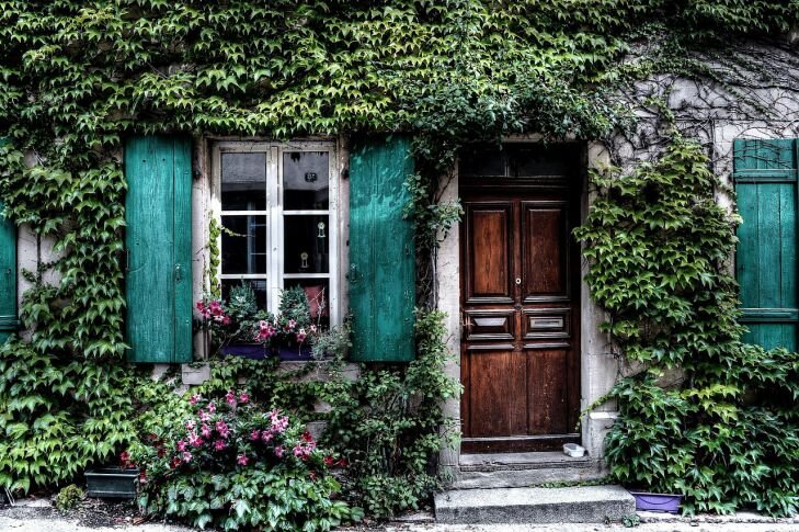 Фото: Pixabay