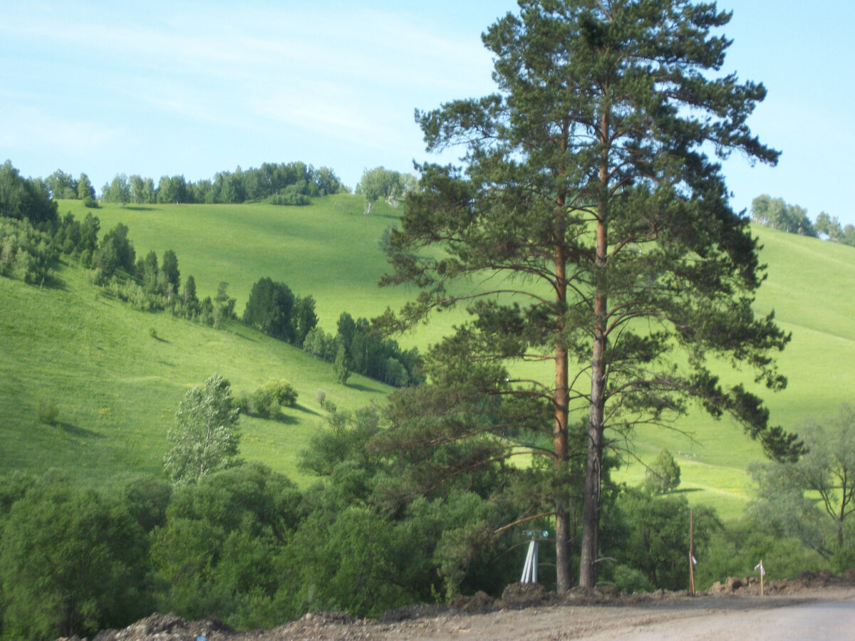Алтайский край, фото автора