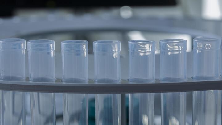 ФОТО: © SIGRID GOMBERT/HTTP://IMAGEBROKER.COM/#/SEARCH//GLOBALLOOKPRESS