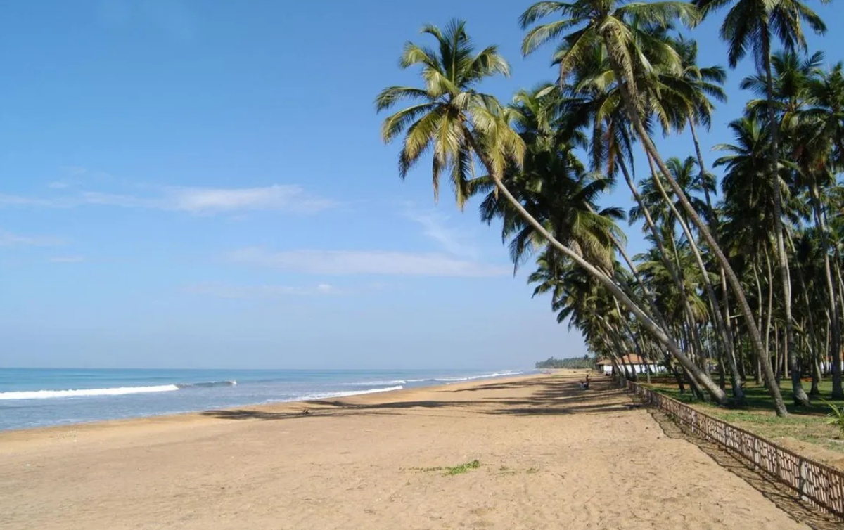 Аренда на шри ланке. Роял Палмс Шри Ланка. Калутара Шри Ланка. Royal Palms Beach 5* Шри-Ланка, Калутара. Калутара пляж.