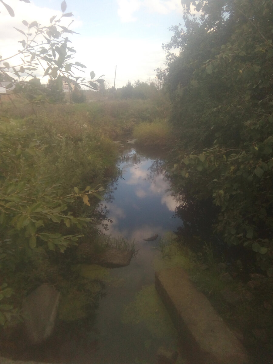 Речка Камышенка у Гагарки