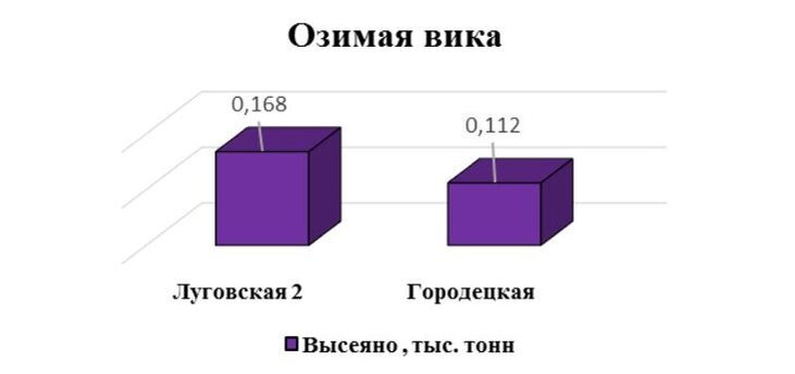     Востребованную за рубежом вику посеяли на семена кировские аграрии
