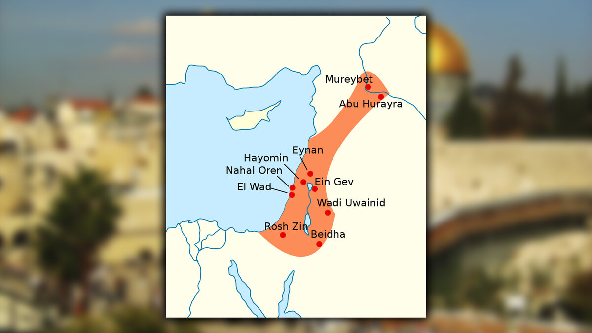 Натуфийская культура, примерно 12500-9500 гг. до н.э.