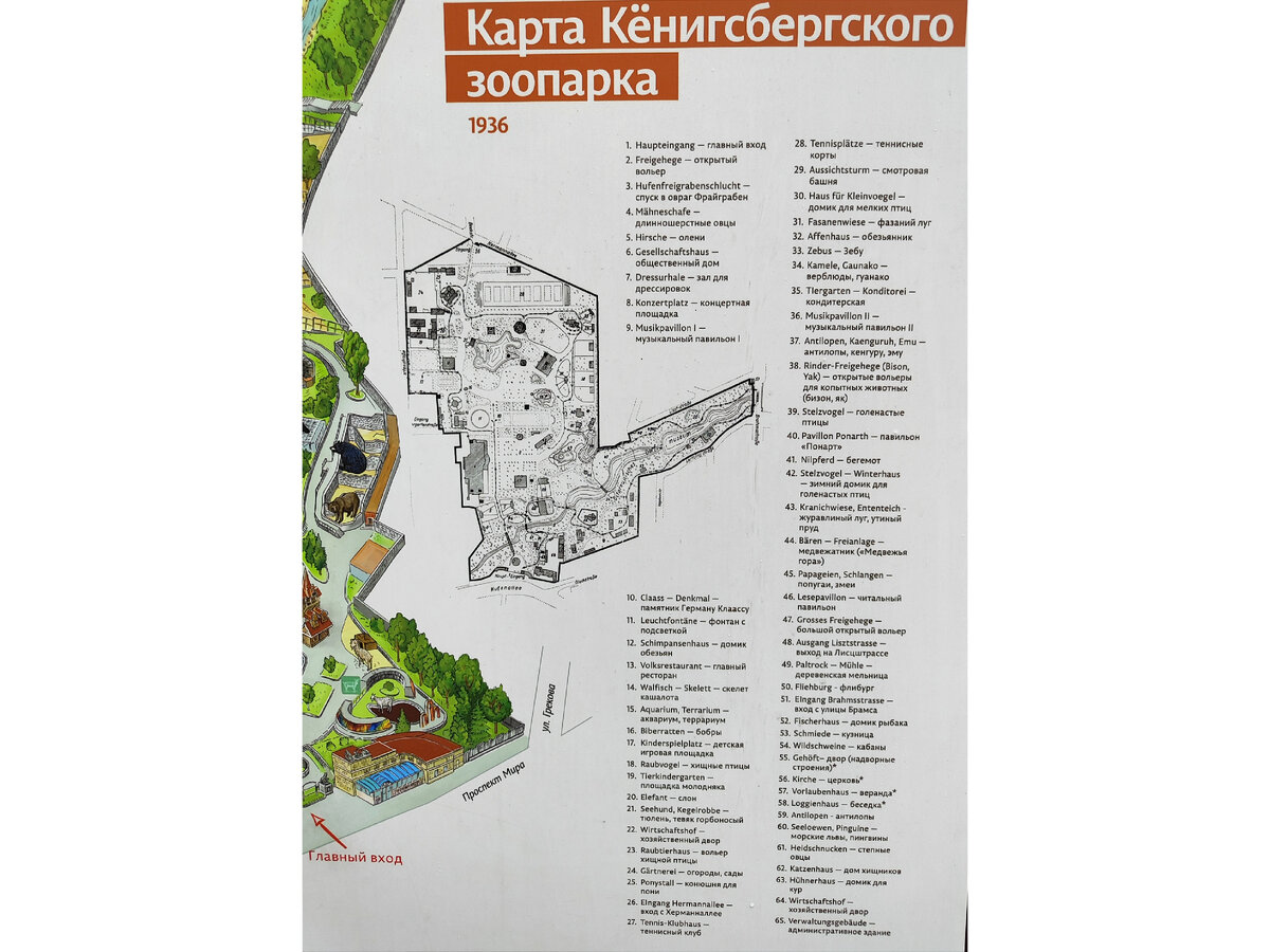 Карта Кëнигсбергского зоопарка. 1936 год. 