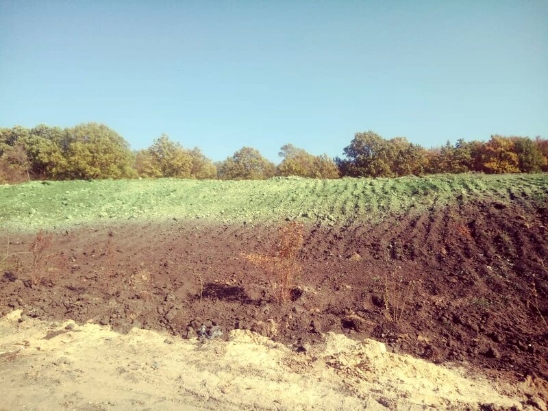    Фото: Minleshoz.pnzreg.ru