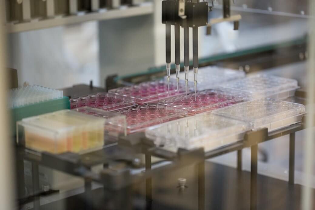    Основной многих препаратов являются лекарственные растения