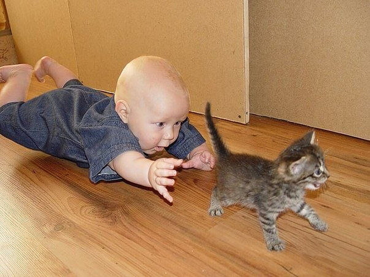 КУДА?НЕ ТАК БЫСТРО