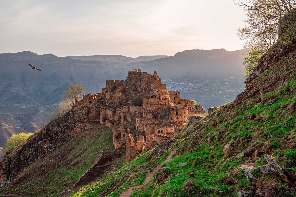    Фото: Stanislav71 / Shutterstock.com