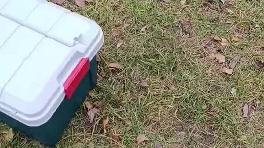 На рыбалку с "Английской Снастью"! | Новый способ перевозки рыбы ...