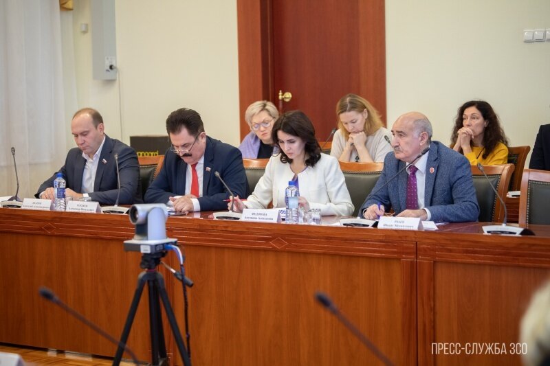    Параметры государственной программы развития культуры в регионе обсудили в Заксобрании на нулевых чтениях проекта бюджета области.