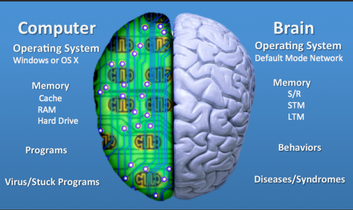Человеческий мозг и компьютер. Мозг компьютера. Компьютер и человеческий мозг. Сравнение компьютера и мозга. Интерфейс мозг компьютер.
