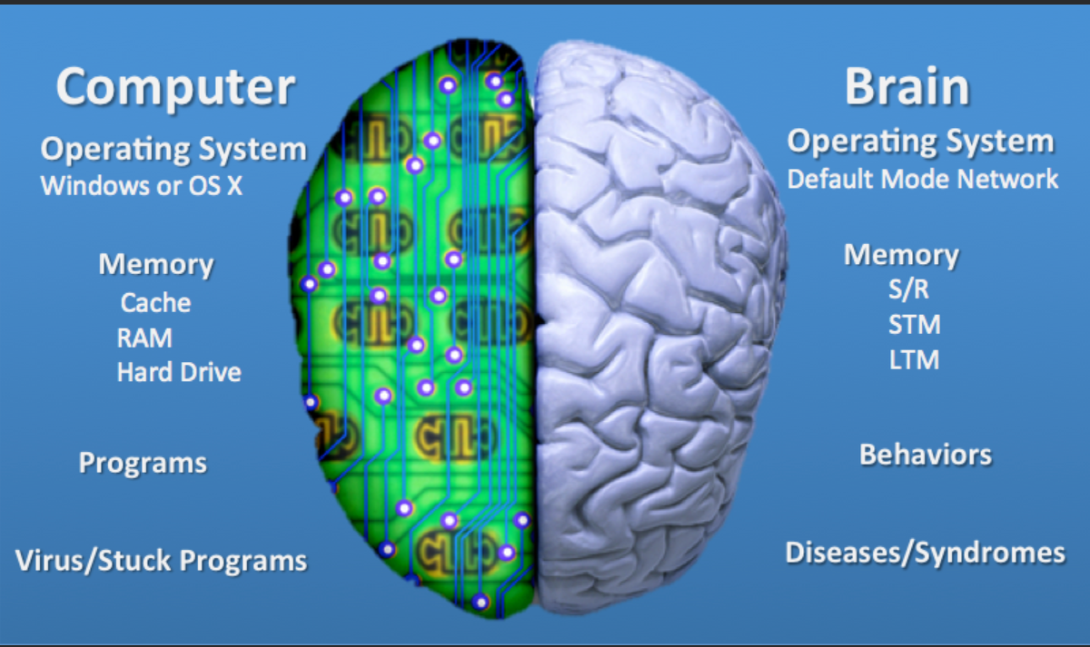 Brain vs brain