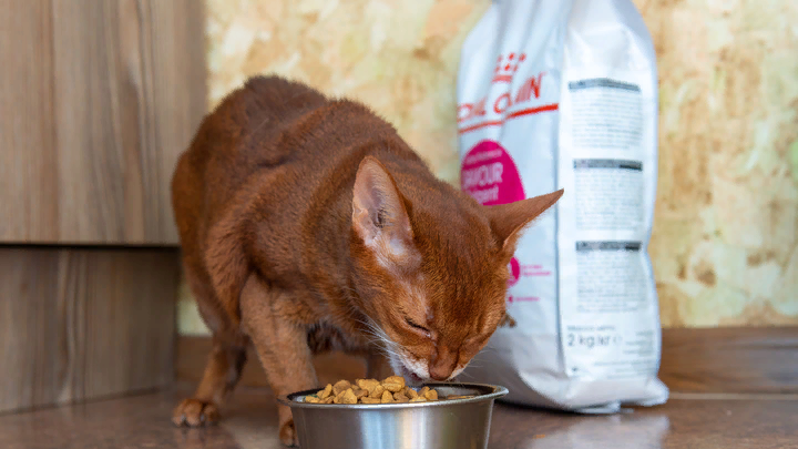 Фото: KOMSOMOLSKAYA PRAVDA/GLOBAL LOOK PRESS