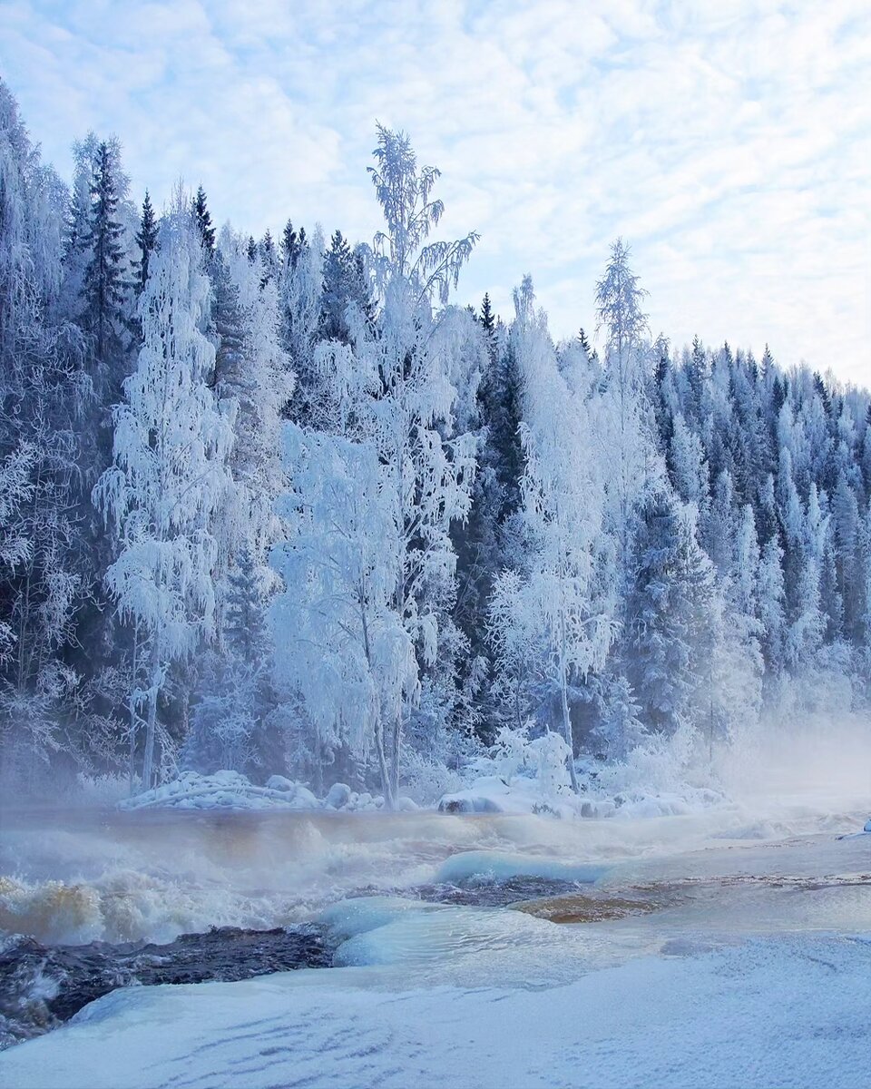 Иней телеграм. Окном покрытое от Мороза инеем фото.