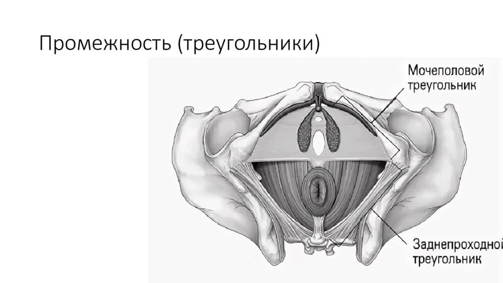 Вагинопластика