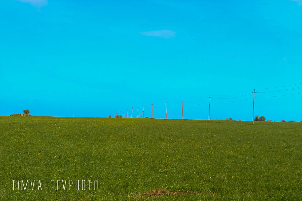 Поля под Путилово