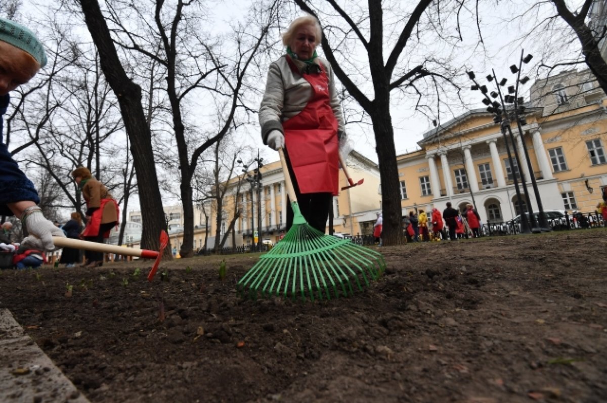    В Петербурге горожане вышли на субботник