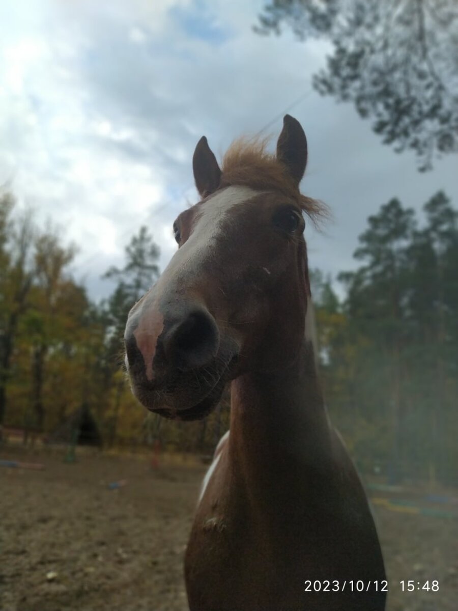 Парнас. Фото из личного архива