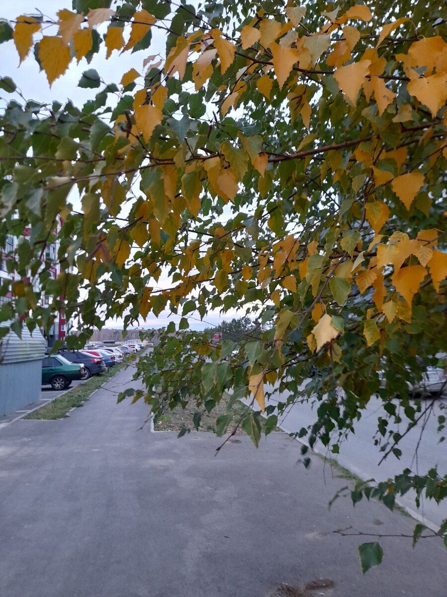 "Доброе утро, мир! Ты прекрасен!" Фото автора