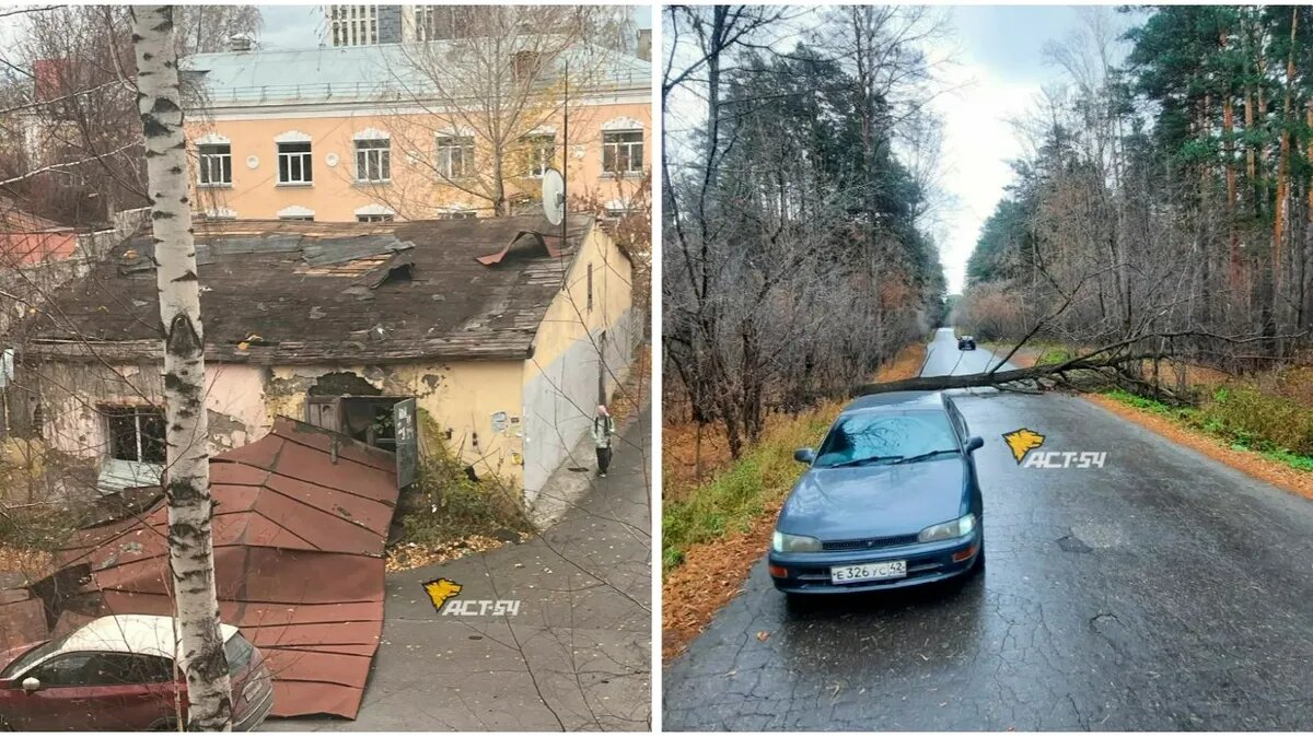 Фото: Telegram-канал @teleact54