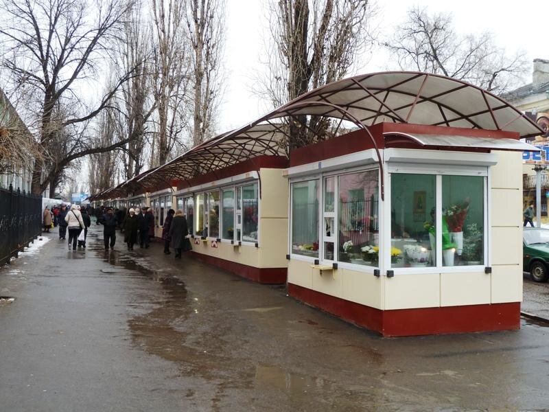 Фото из свободного источника