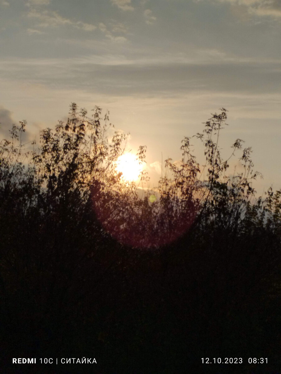 Красота вокруг нас! 