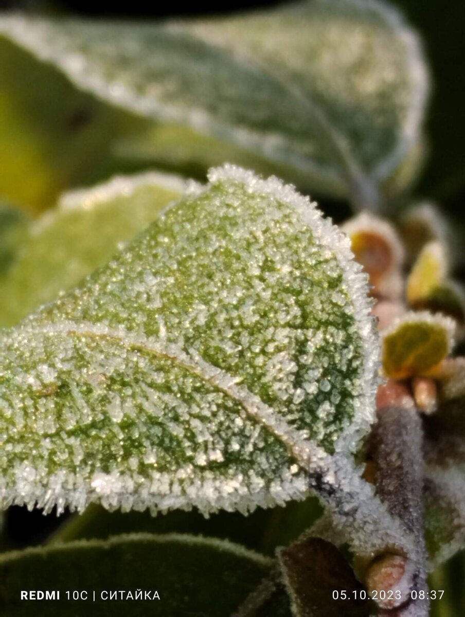 Красота рядом