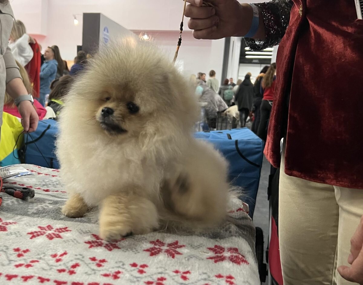    Алина Малинина Алина Малинина