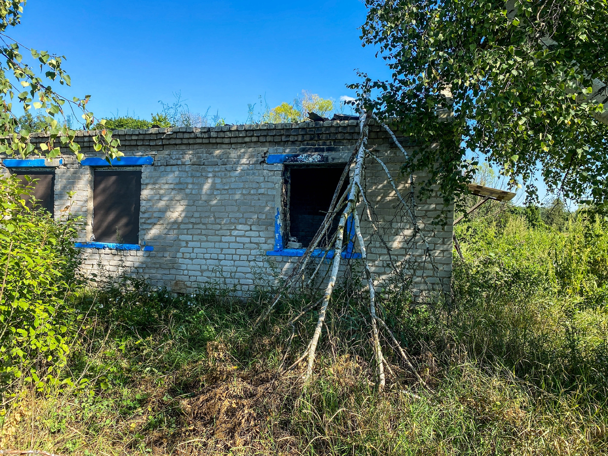 Вымирающая деревня, где постоянно проживает один двор. Местная жительница  пожаловалась на мародеров и рассказала о жизни | Прекрасное рядом | Дзен