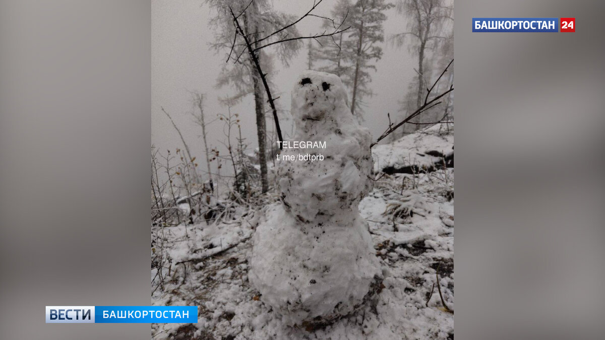    Жители Башкирии делятся в соцсетях фотографиями первого снега