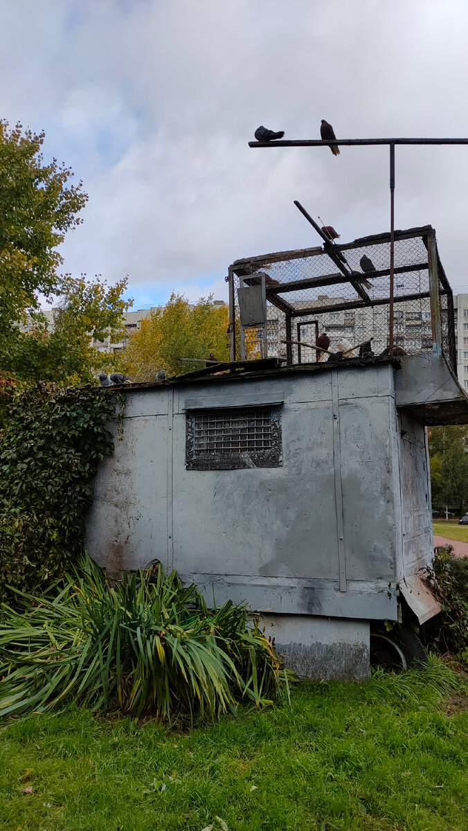 Фото автора 