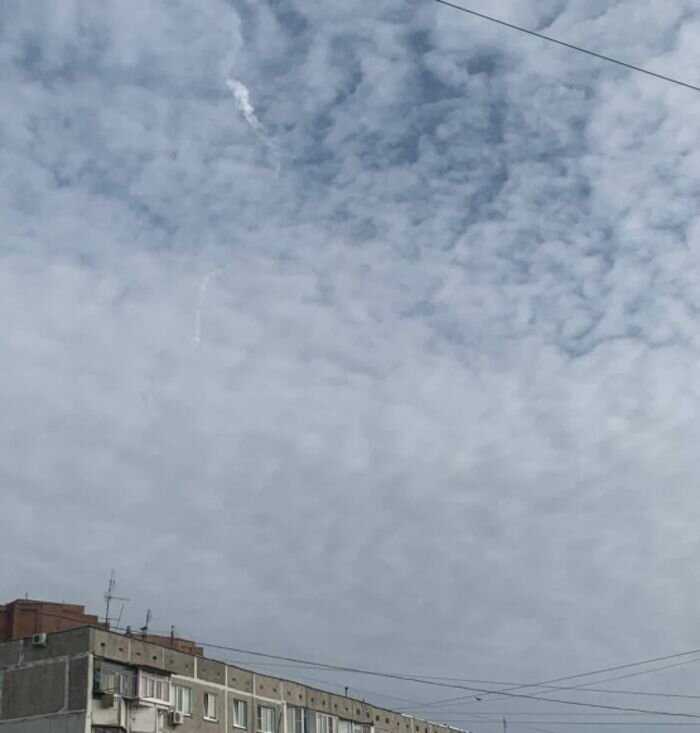 Источник фото: Жесть Ростов/telegram.com