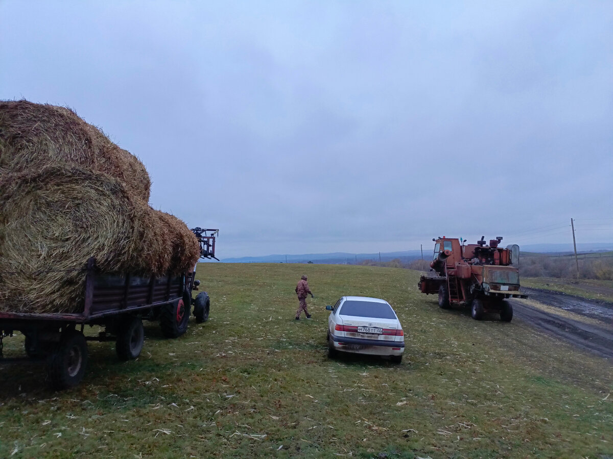 День второй. Часть вторая. Мальчики в поле, девочки... тоже в поле. 🤭 |  Дилетанты из деревни | Дзен