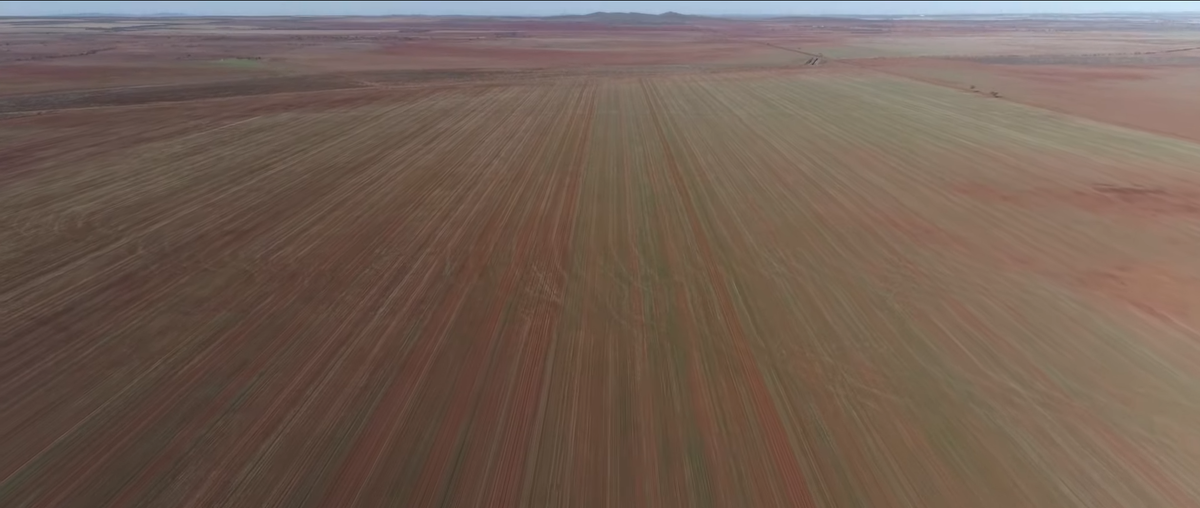 Непривычный ландшафт для европейцев