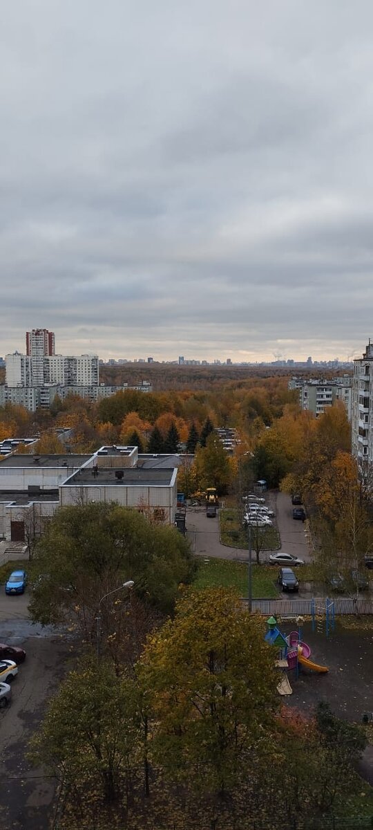 Московская осень. Осеннее Ясенево. Вид на Битцевский парк