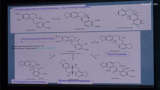 Кочкин Д.В. - Вторичный метаболизм растений - 4. Алкалоиды. Часть 3