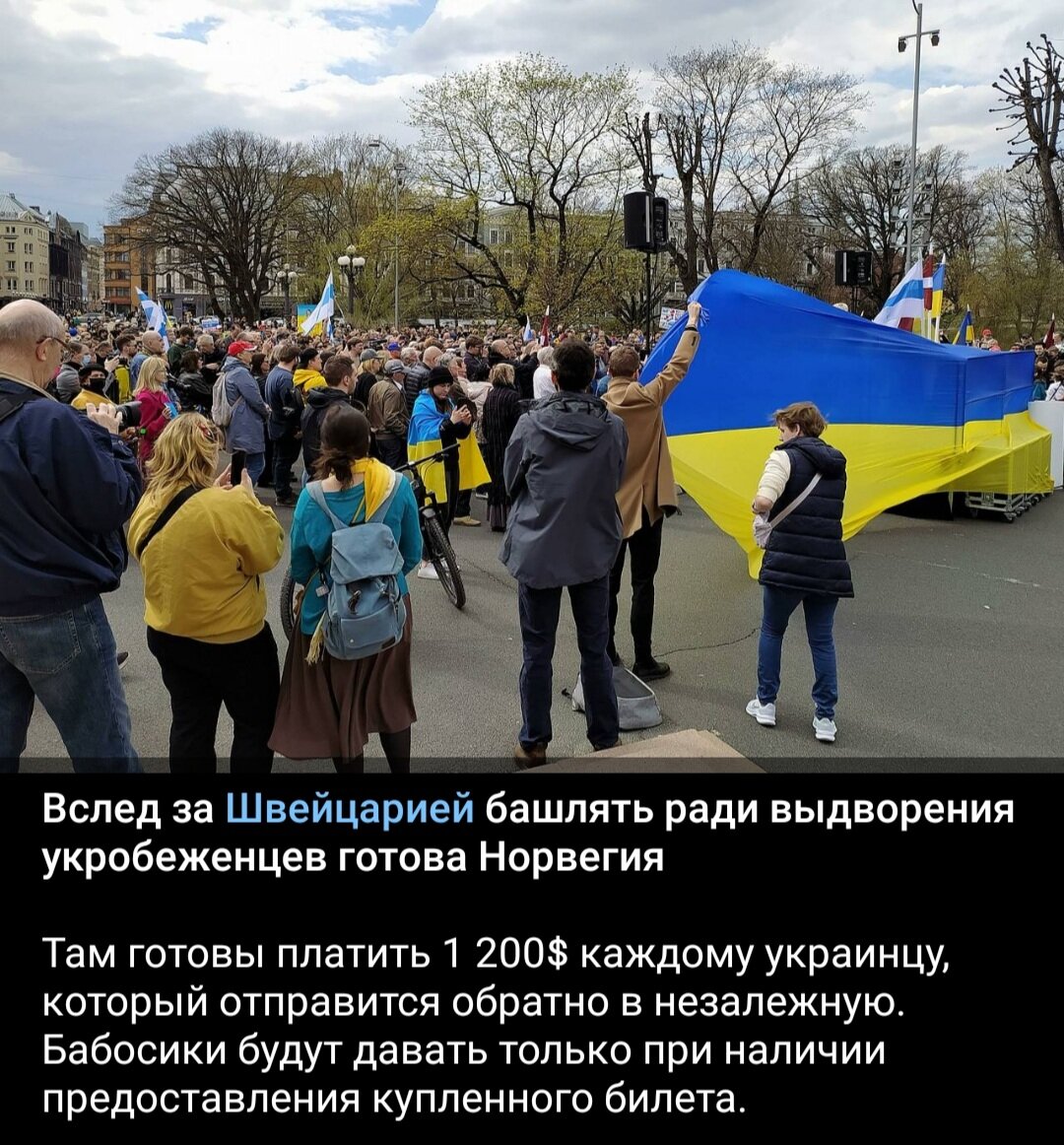 Башлять. Башлять
